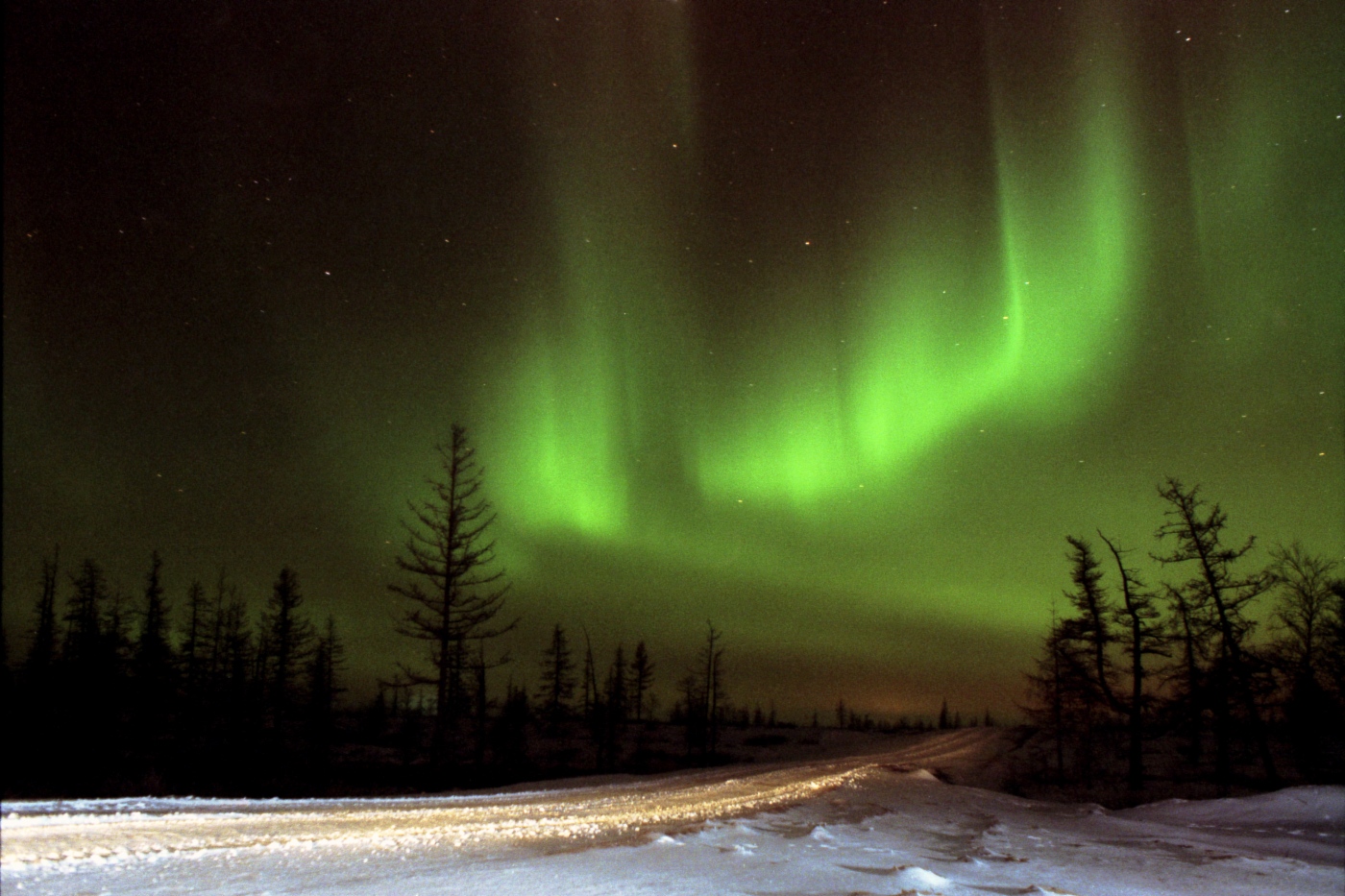 Northern lights