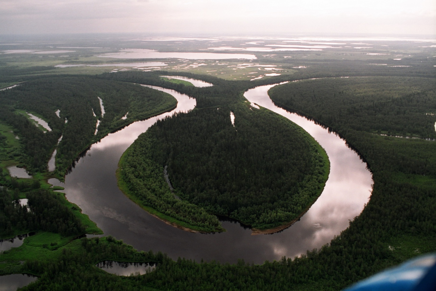 Northern nature