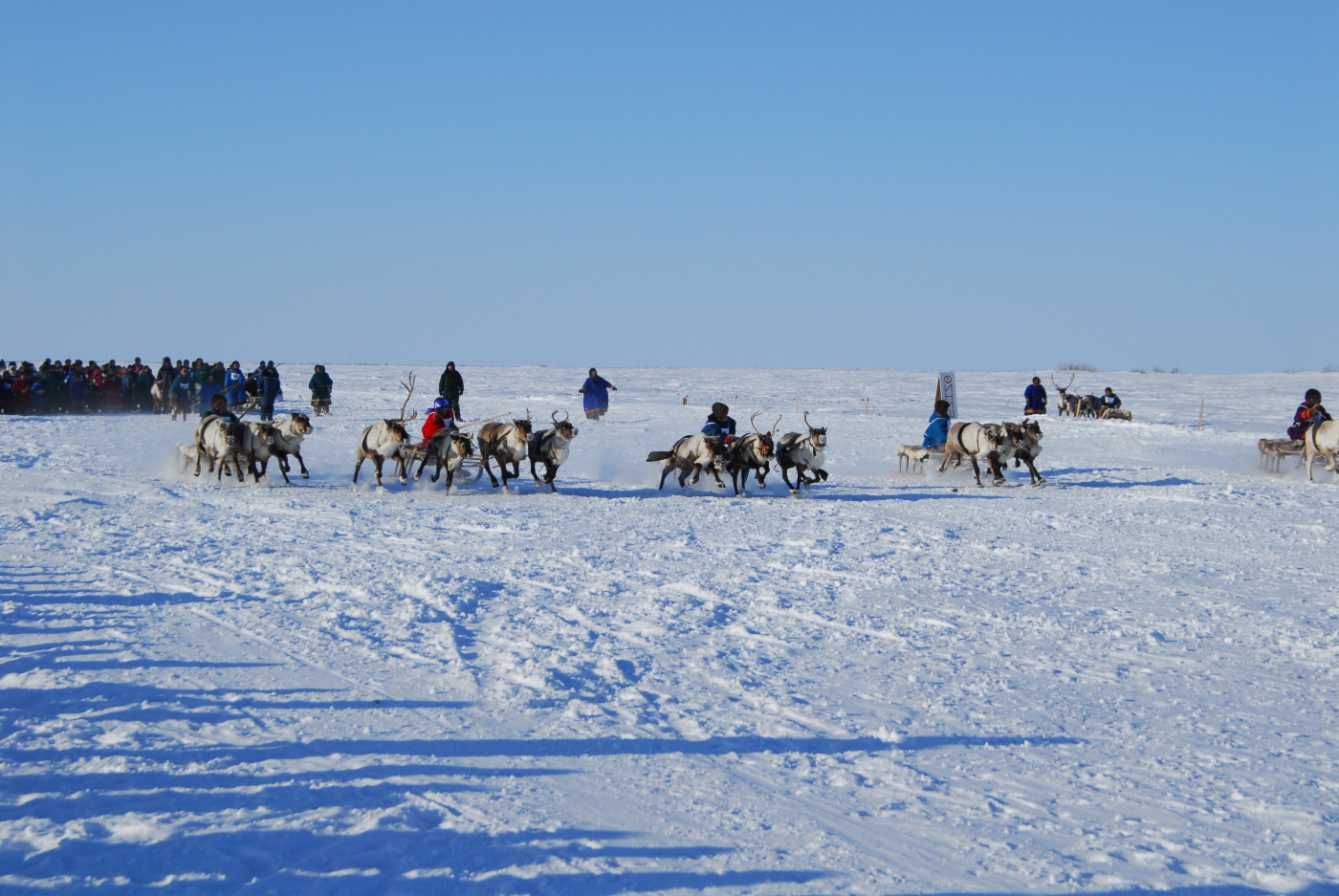 Reindeer Herder’s Day