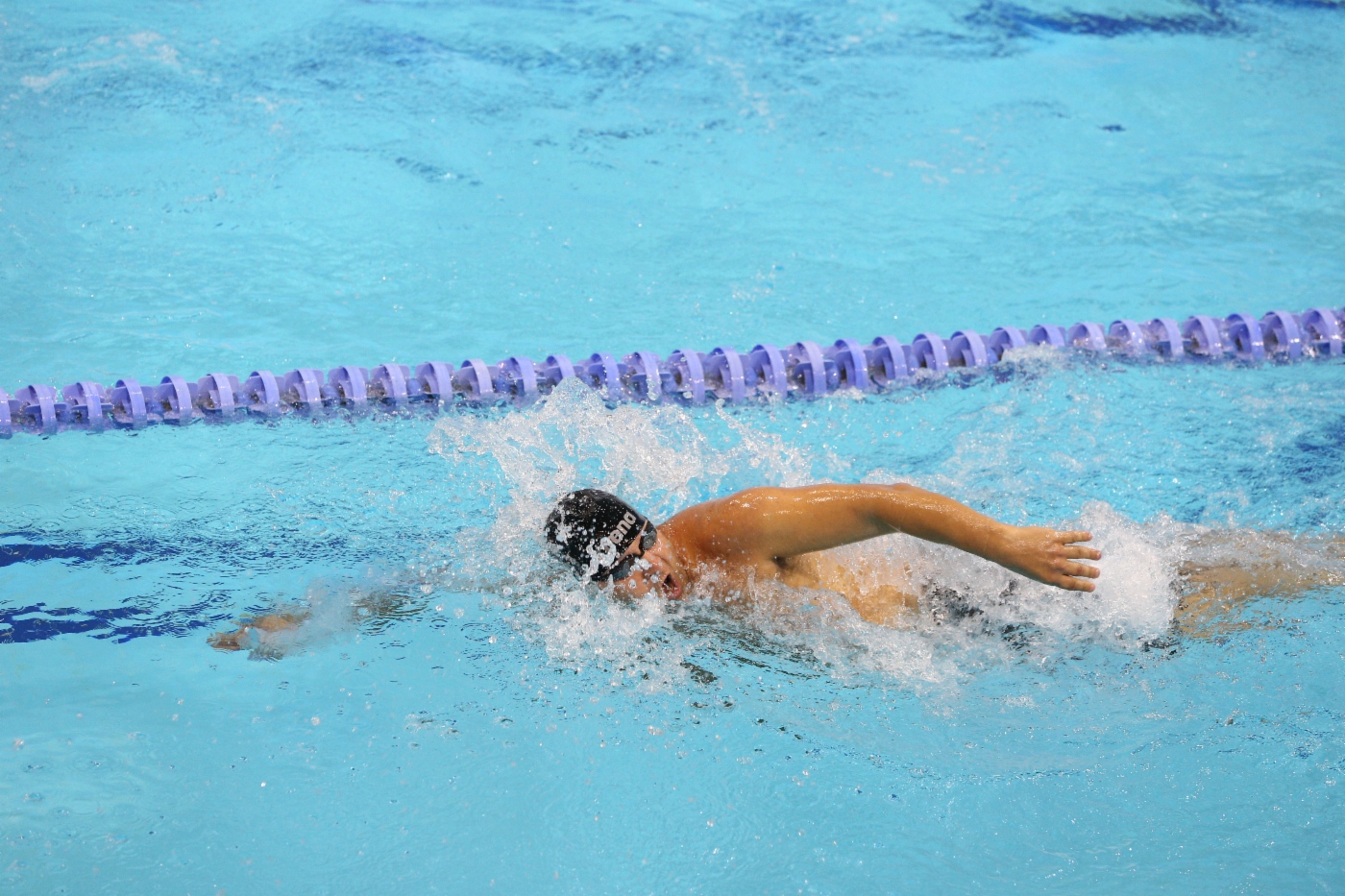 Swimming competitions 