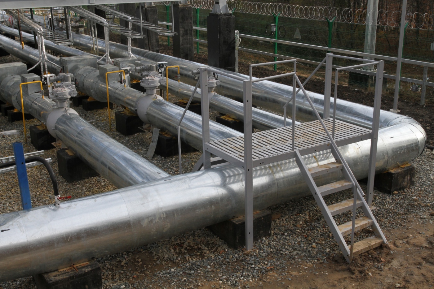 Gas purification module