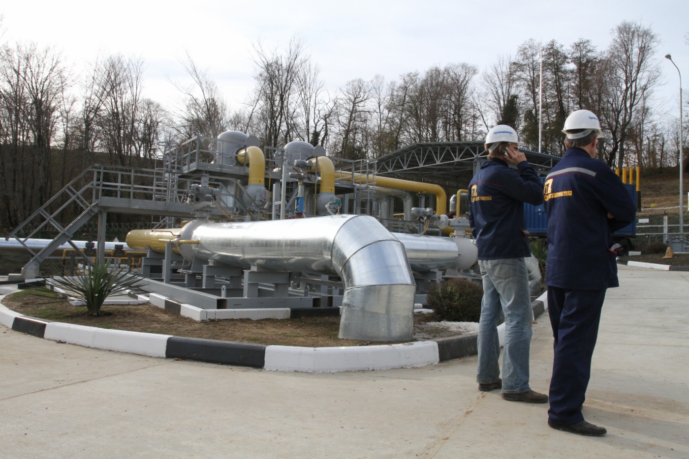 Gas purification module