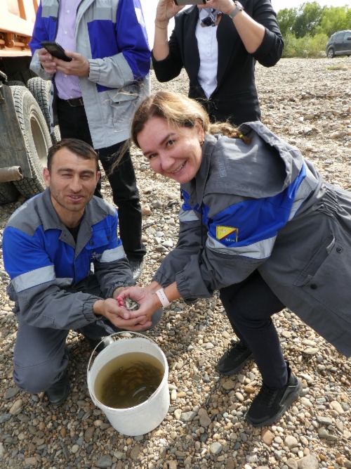 Over 170,000 carp fingerlings released into water