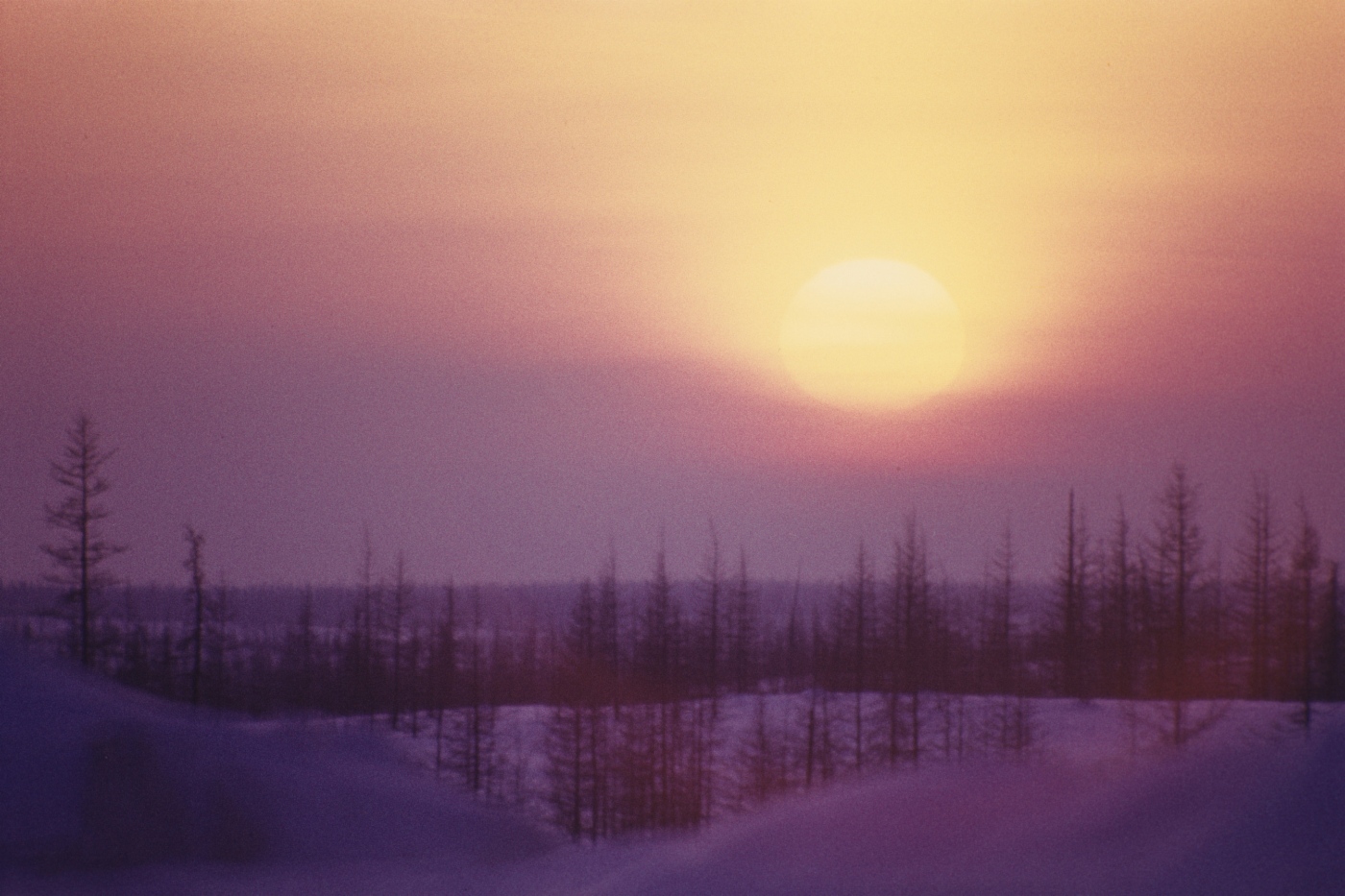 Yamal-Nenets Autonomous Okrug, Russia. Photo by Gazprom