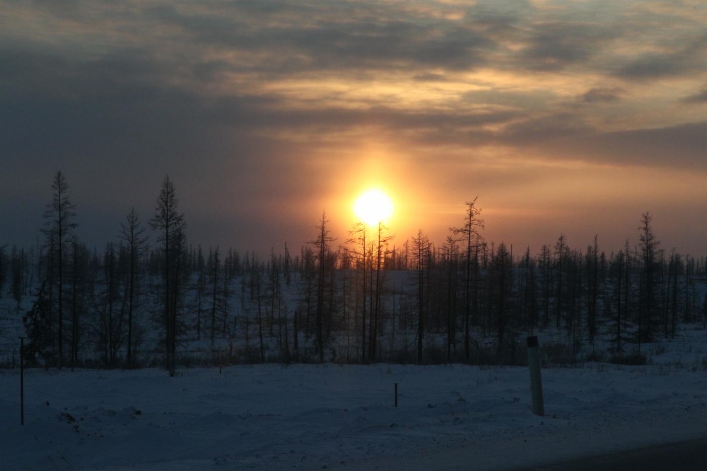 Beauty of Arctic