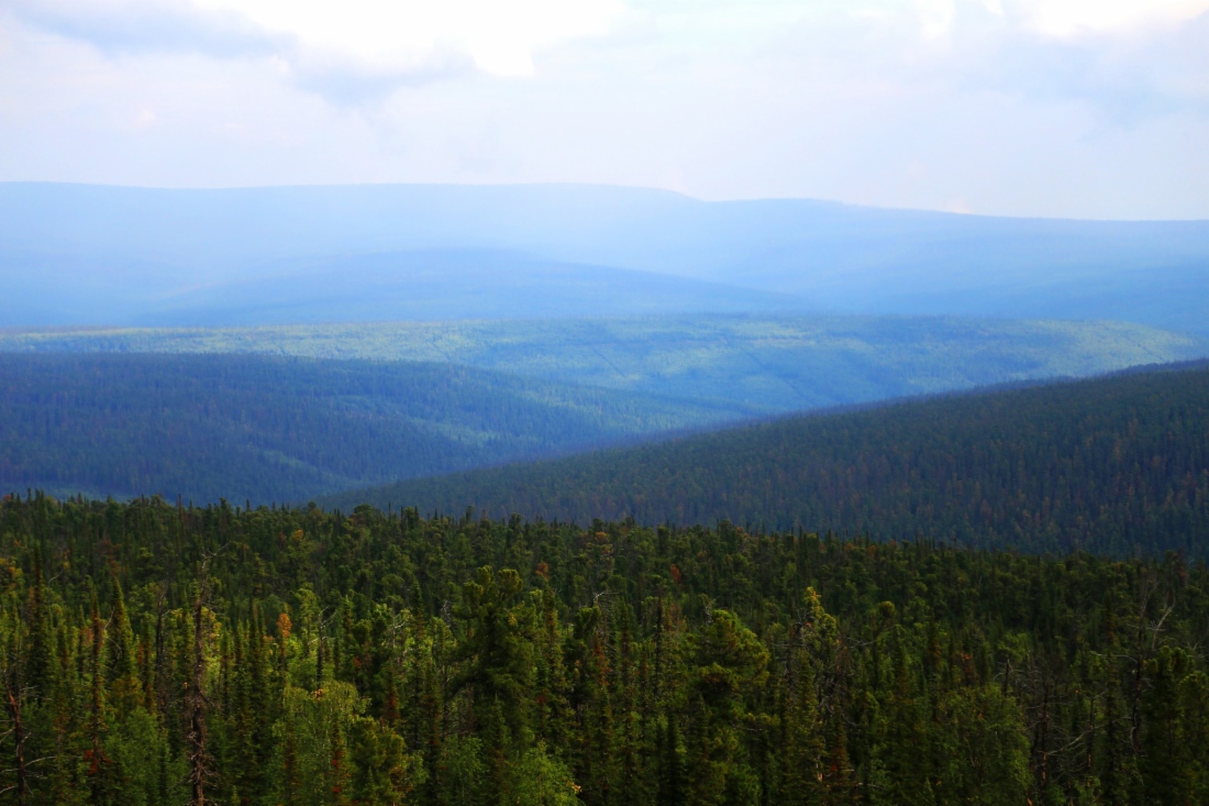 Gazprom saves RUB 12 billion on fuel and energy resources in 2018