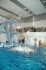 Exhibition performance of best swimmers in Stavropol region